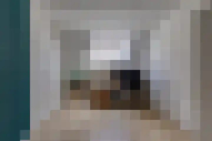 Tebinckslaan 7 Gasselte thumbnail 21