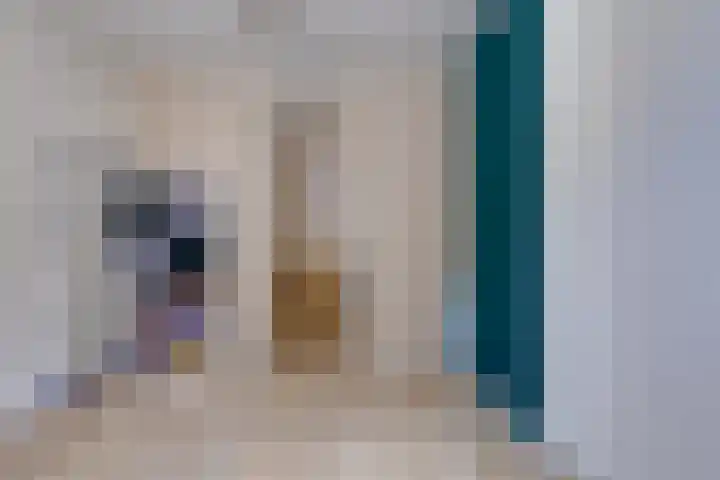 Tebinckslaan 7 Gasselte thumbnail 22