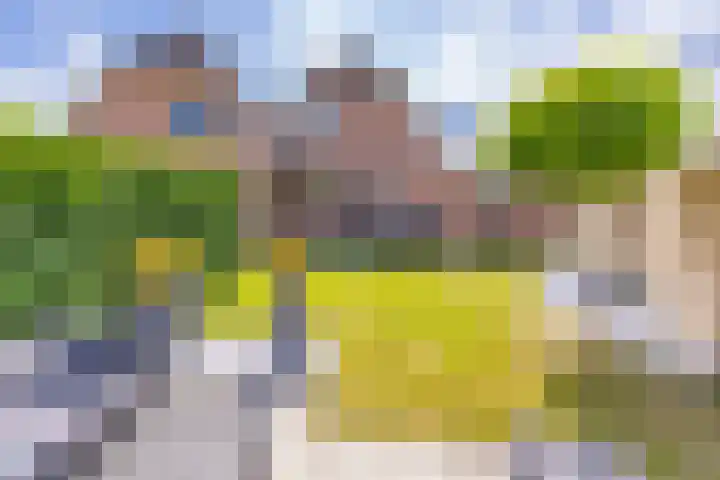 Tebinckslaan 7 Gasselte thumbnail 25