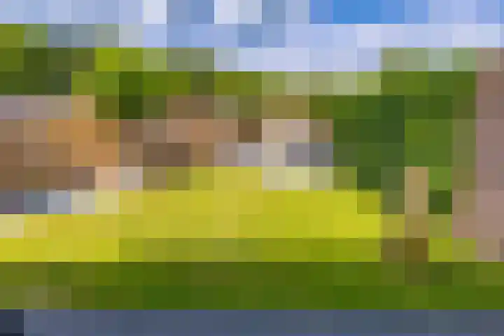 Tebinckslaan 7 Gasselte thumbnail 26