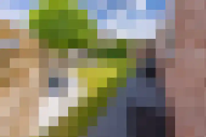 Tebinckslaan 7 Gasselte thumbnail 28