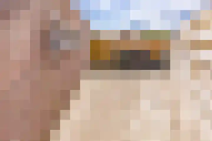 Tebinckslaan 7 Gasselte thumbnail 29