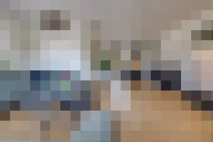 Tebinckslaan 7 Gasselte foto 3