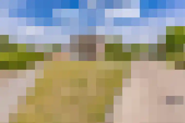 Tebinckslaan 7 Gasselte thumbnail 31