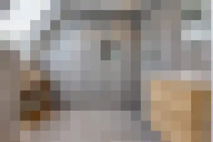Tebinckslaan 7 Gasselte thumbnail 4