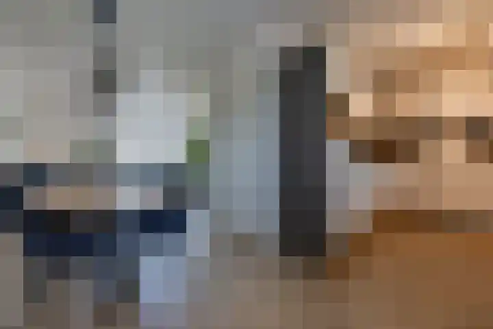 Tebinckslaan 7 Gasselte thumbnail 8