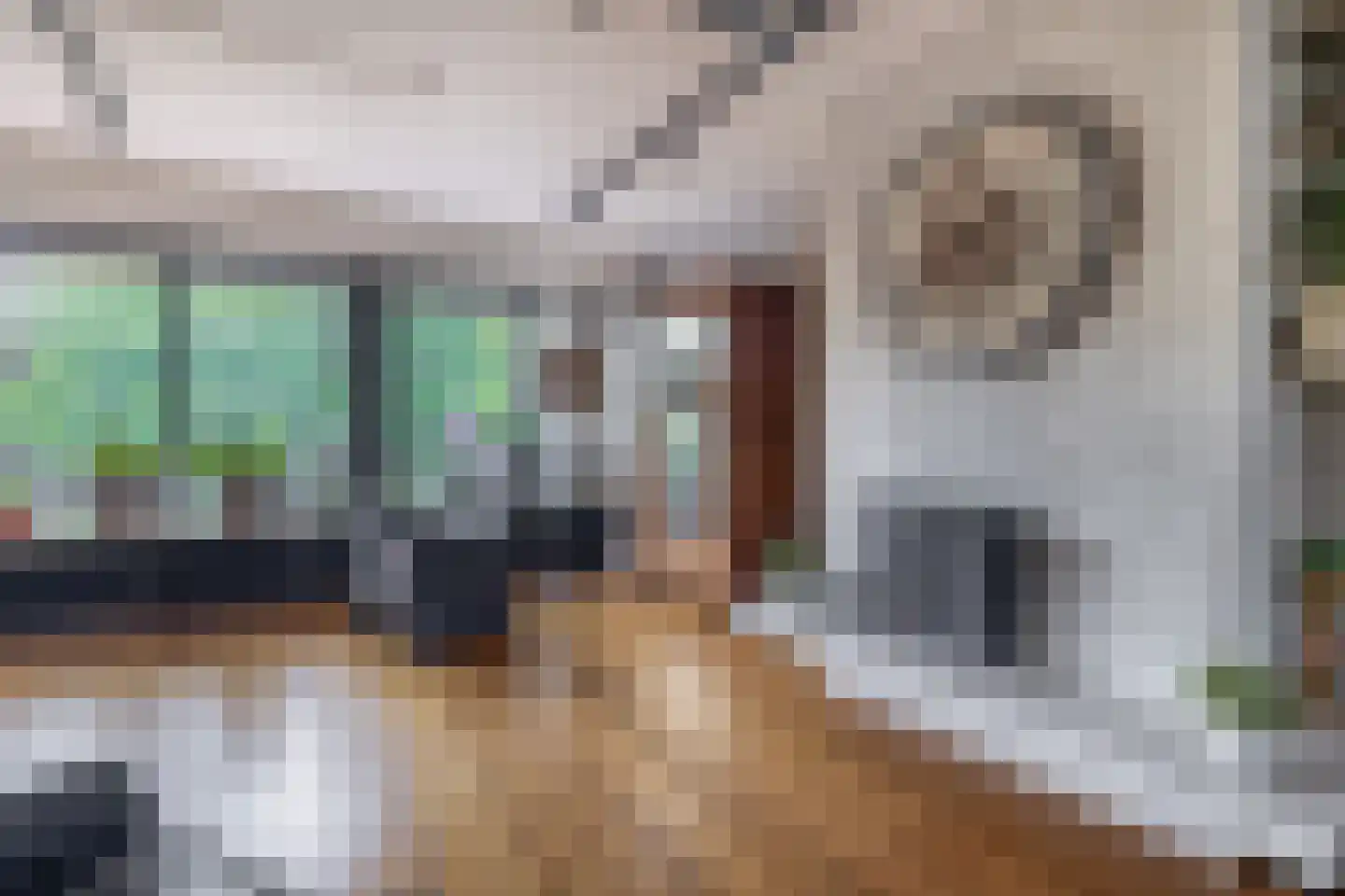 Technicumstraat 4 Musselkanaal thumbnail 36