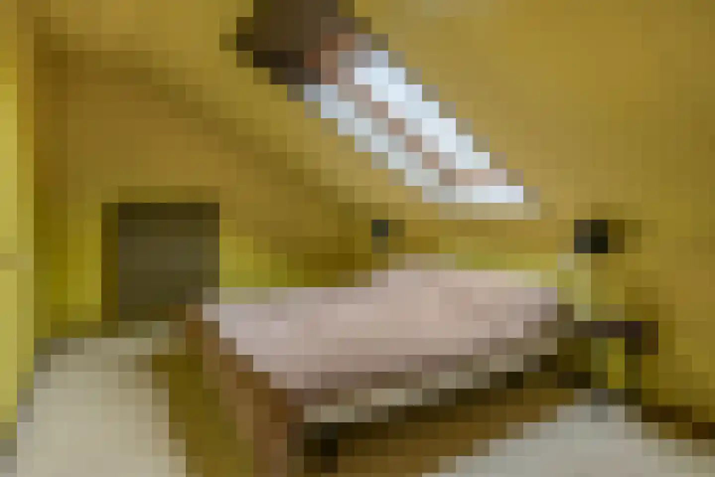 Technicumstraat 4 Musselkanaal thumbnail 53