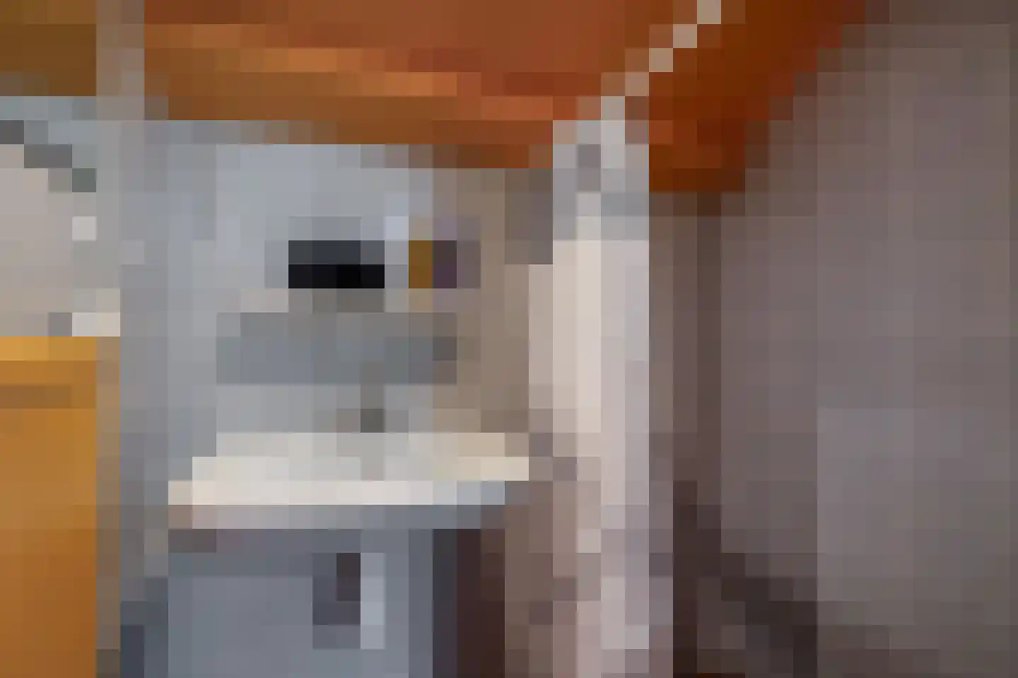Technicumstraat 4 Musselkanaal thumbnail 55