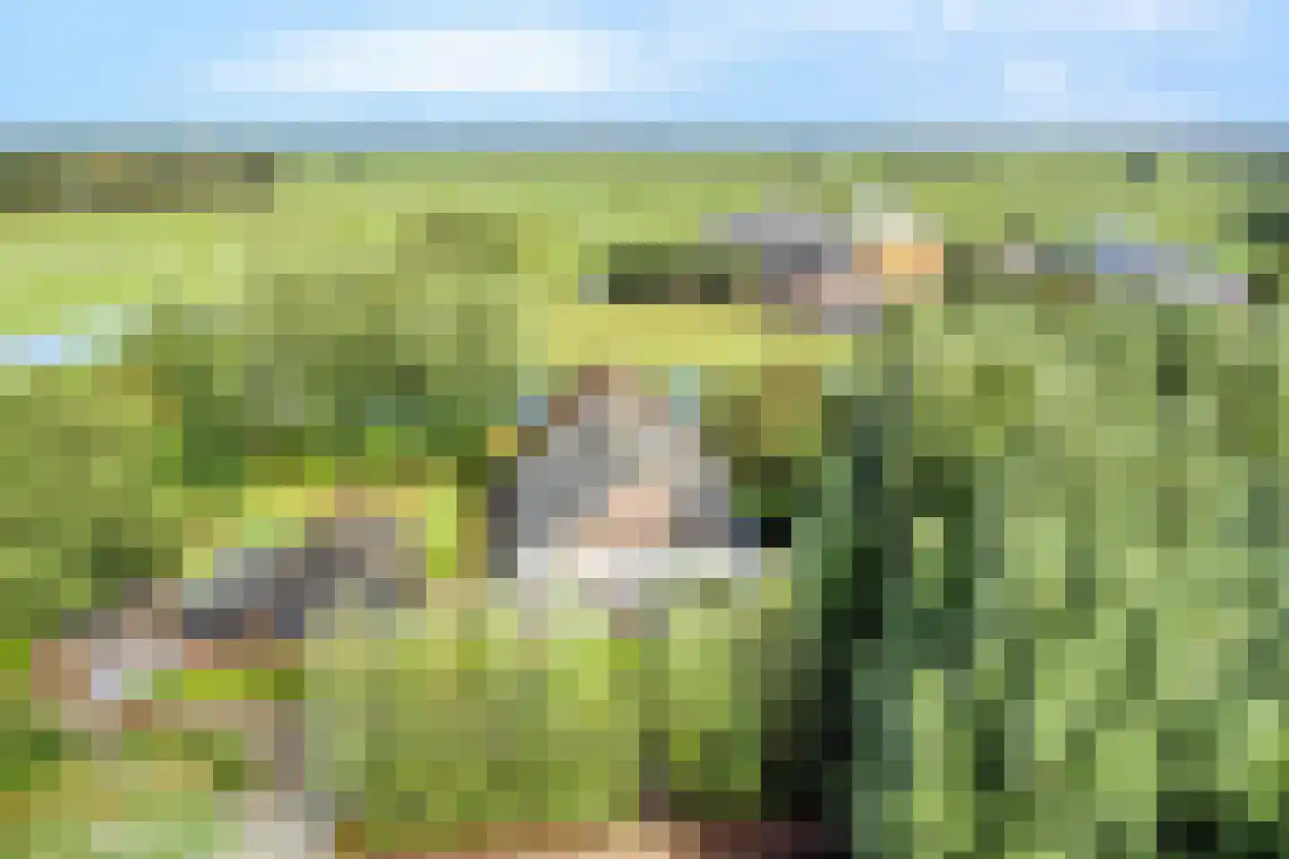 Teckop 18 Kamerik thumbnail 14