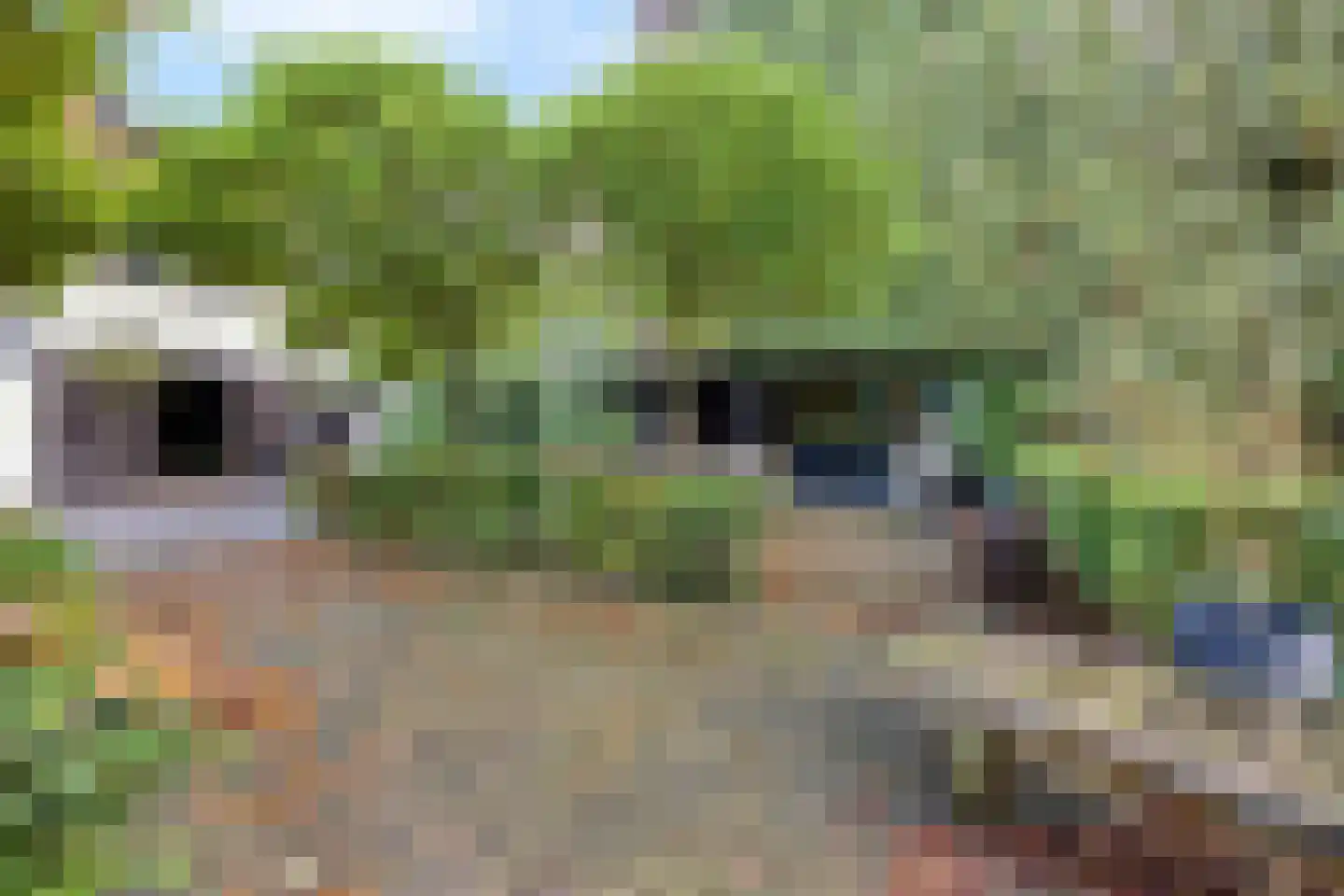 Teckop 18 Kamerik thumbnail 4