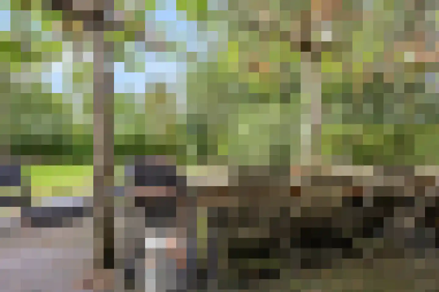 Teckop 18 Kamerik thumbnail 69