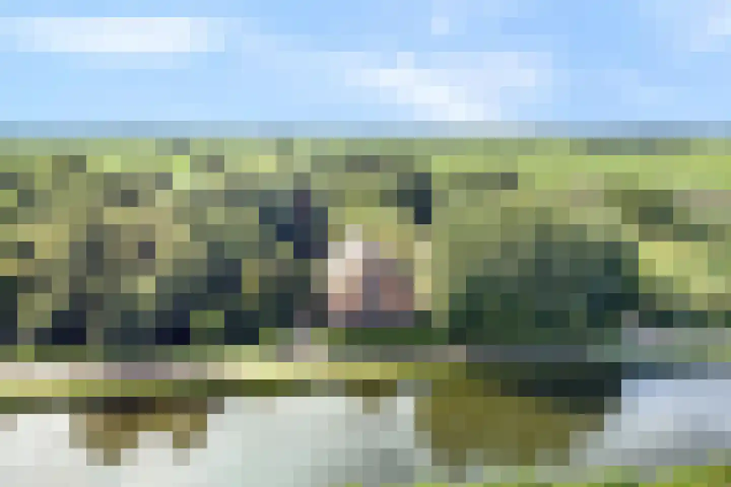 Teckop 18 Kamerik thumbnail 81