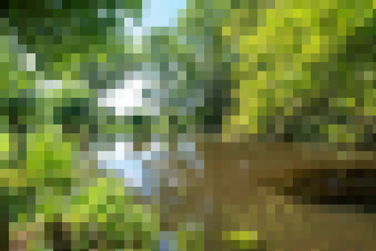 Teckop 9 Kamerik thumbnail 114