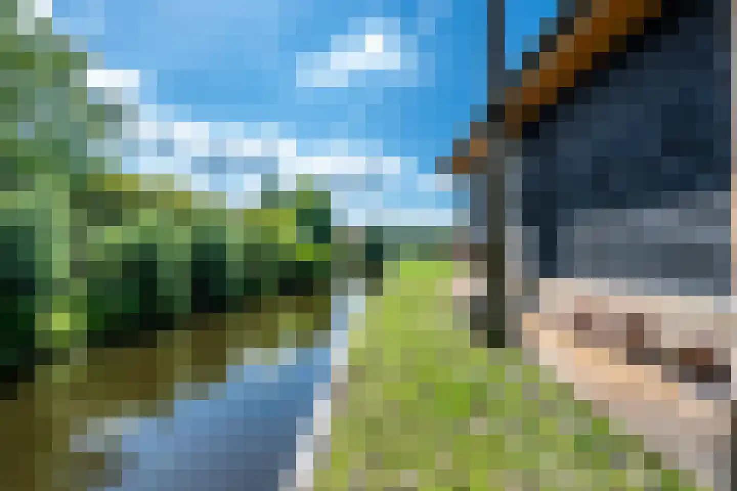 Teckop 9 Kamerik thumbnail 115
