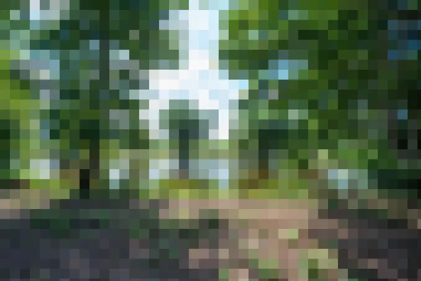 Teckop 9 Kamerik thumbnail 116