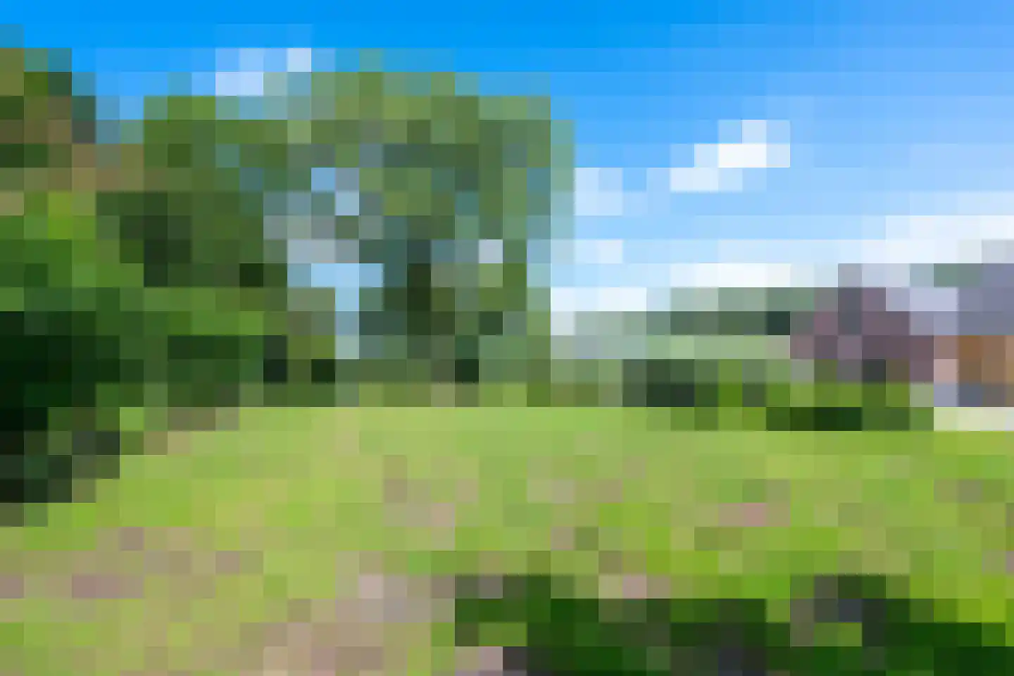 Teckop 9 Kamerik thumbnail 118