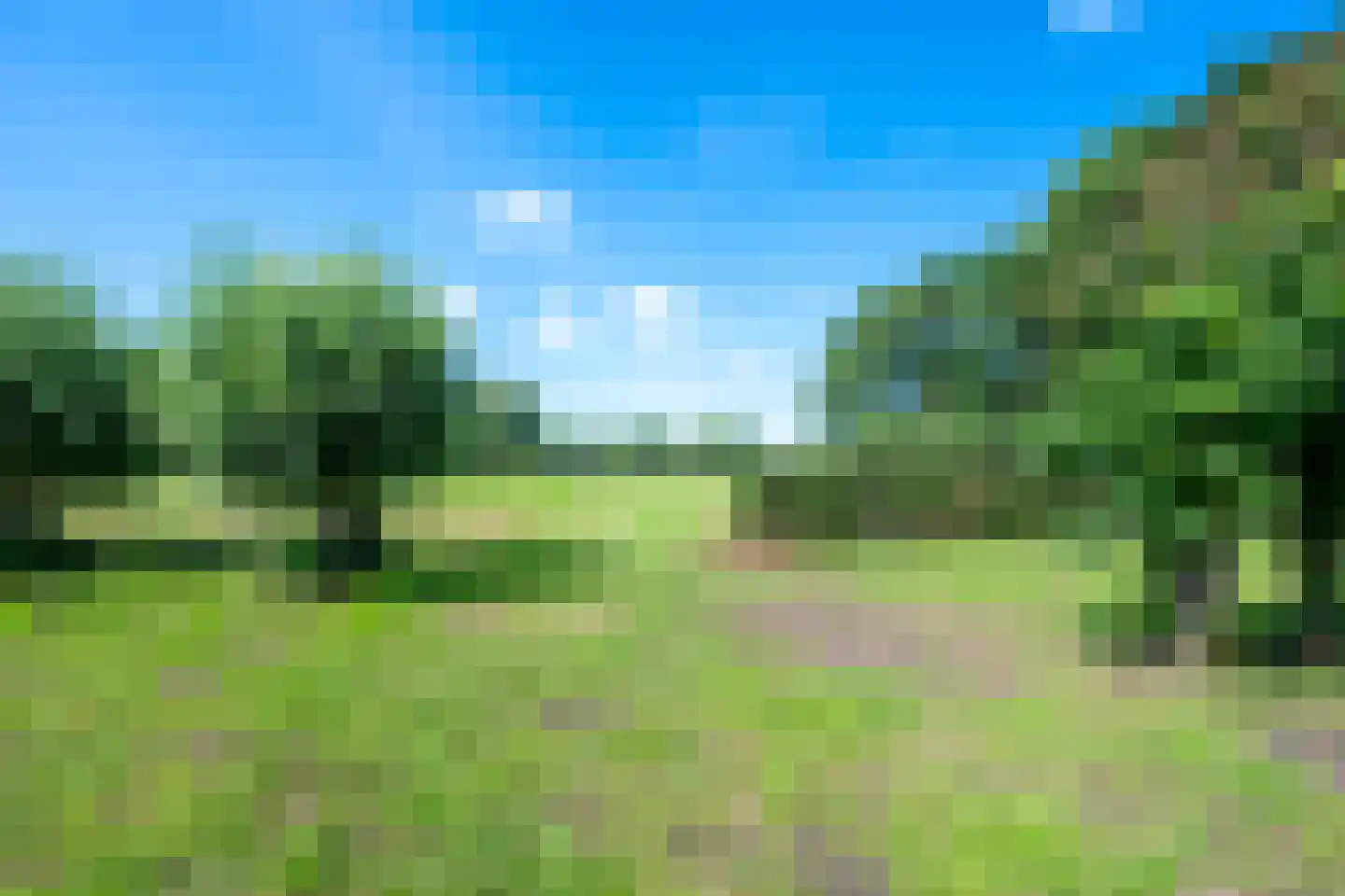 Teckop 9 Kamerik thumbnail 119