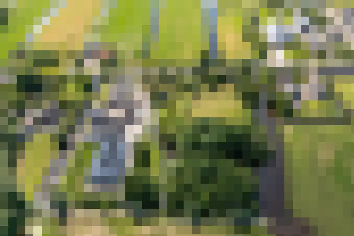 Teckop 9 Kamerik thumbnail 121