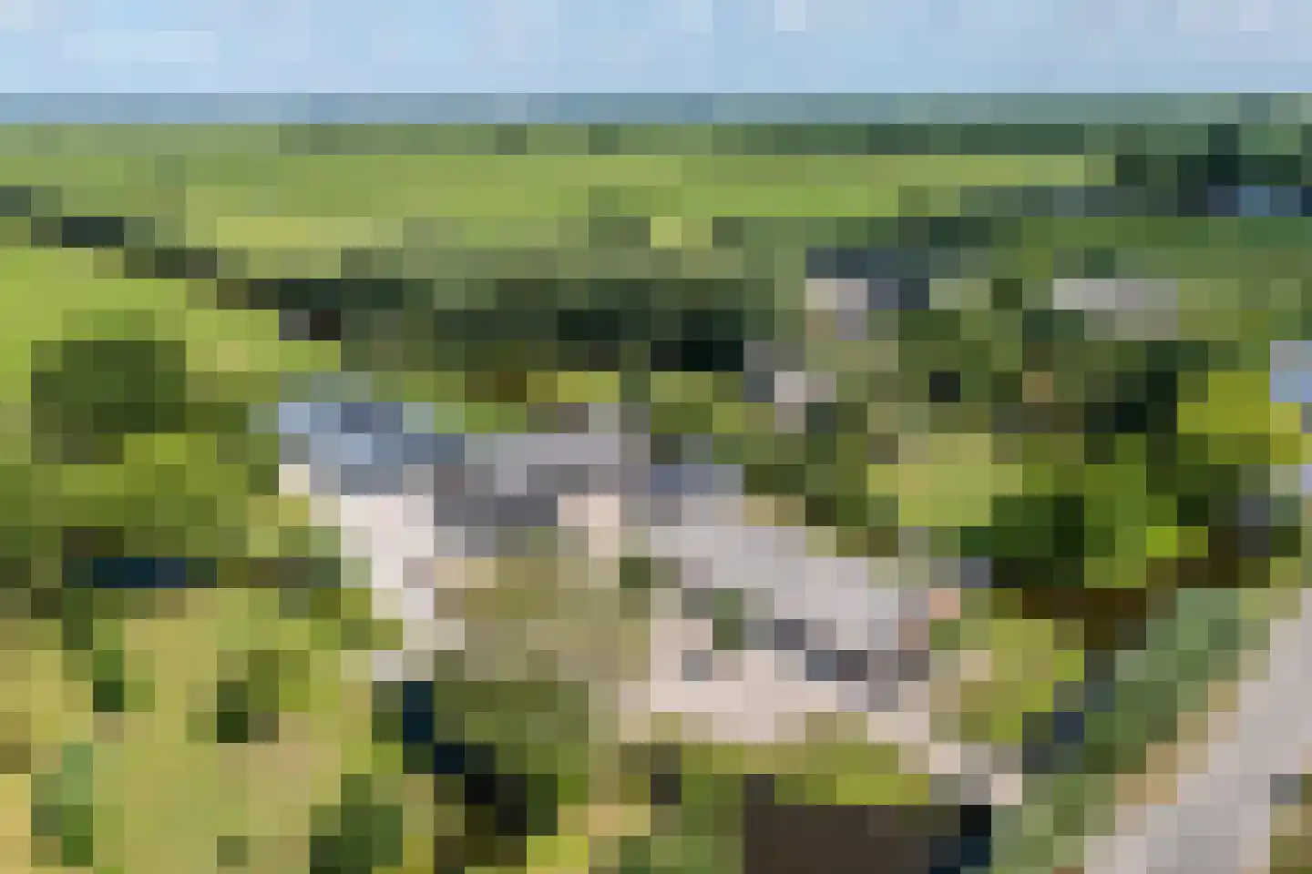 Teckop 9 Kamerik thumbnail 124