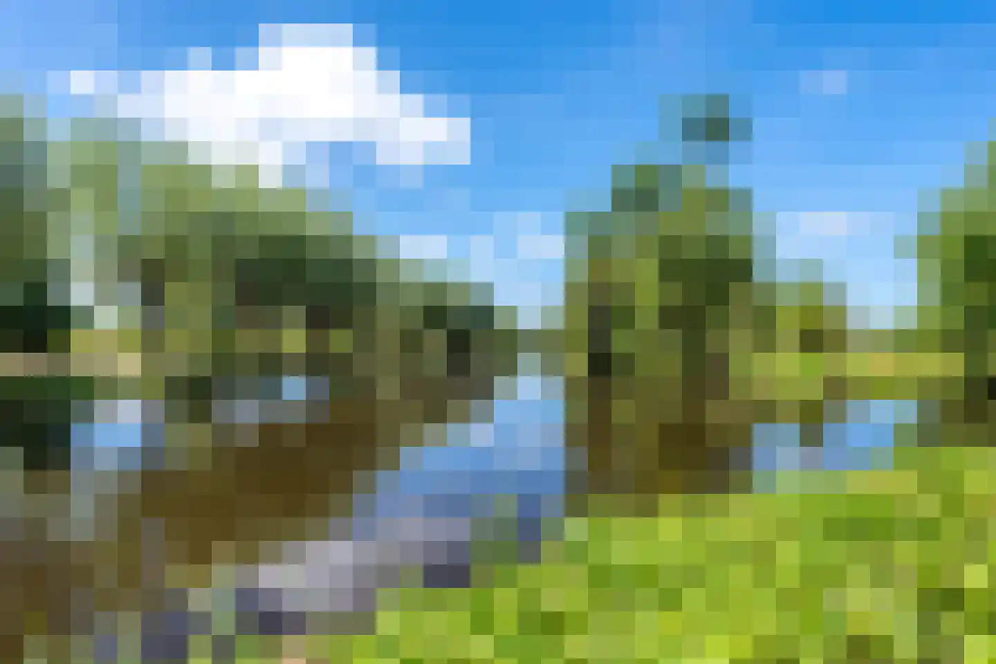 Teckop 9 Kamerik thumbnail 4