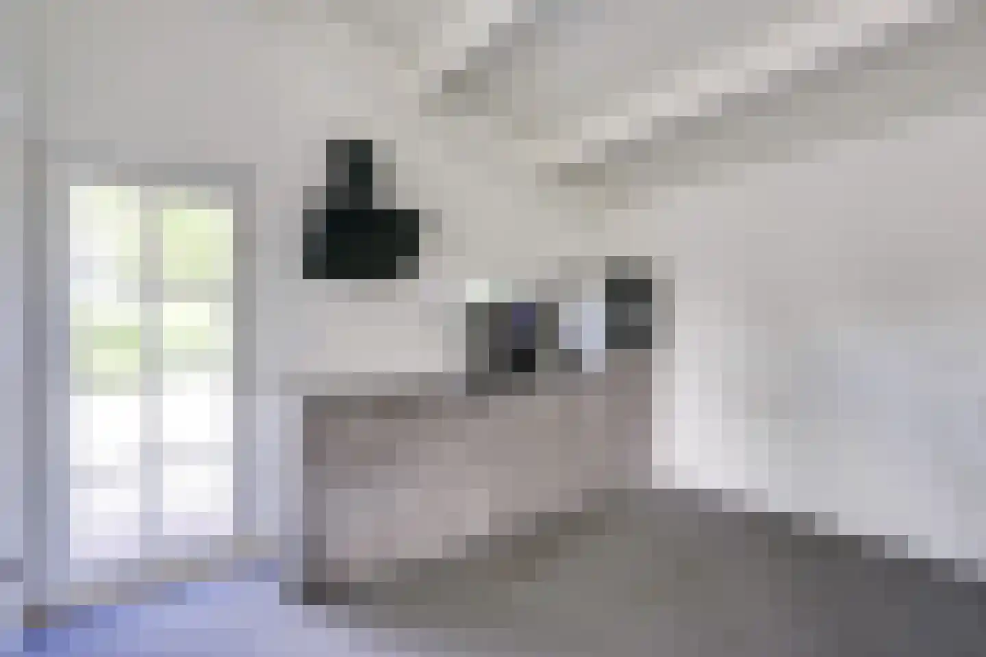 Teckop 9 Kamerik thumbnail 81