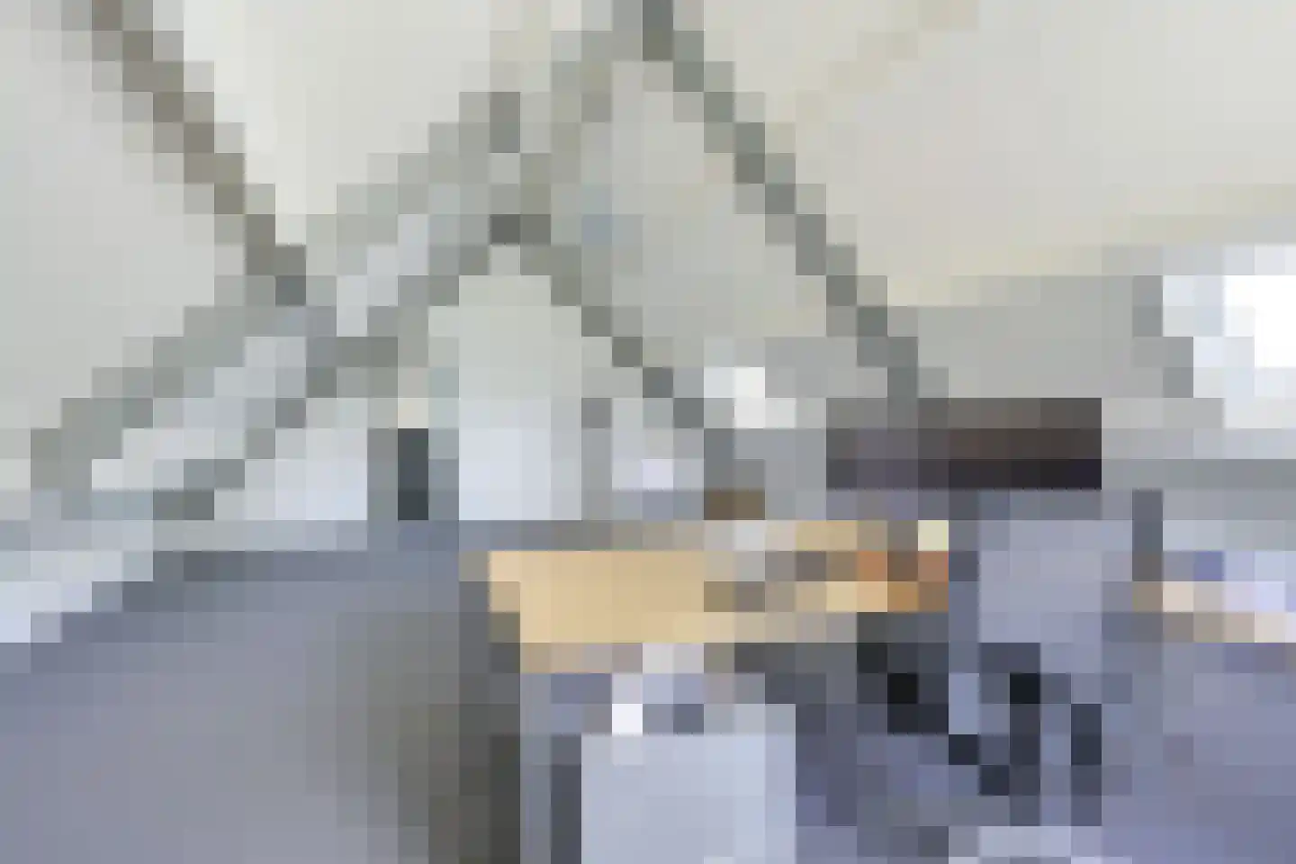 Teckop 9 Kamerik thumbnail 93