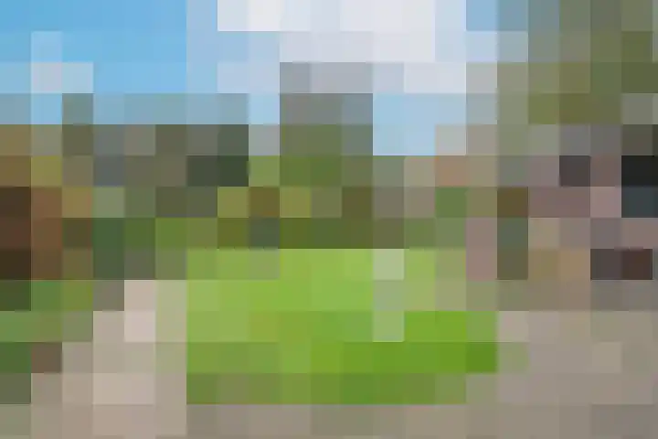 Ted Visserweg 80 Maarn thumbnail 28