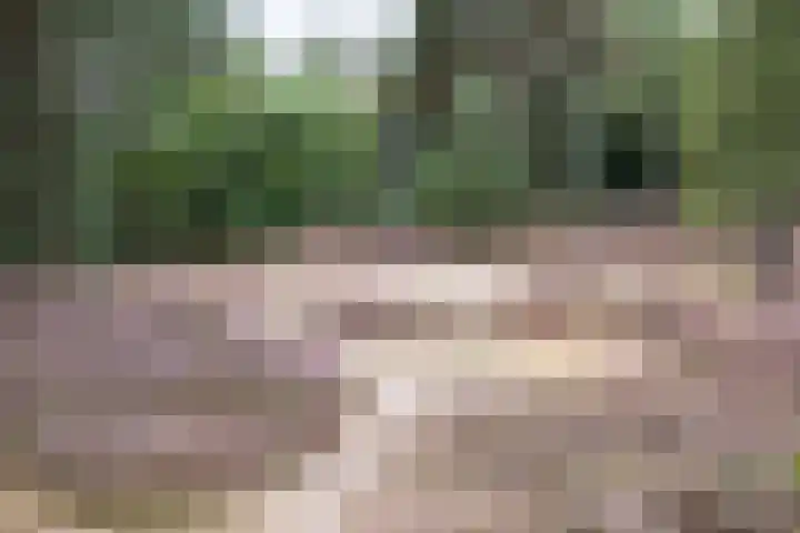 Ted Visserweg 80 Maarn thumbnail 37