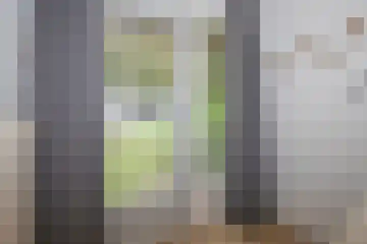 Ted Visserweg 80 Maarn thumbnail 5