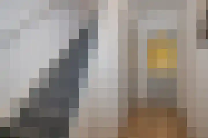 Ted Visserweg 80 Maarn thumbnail 6