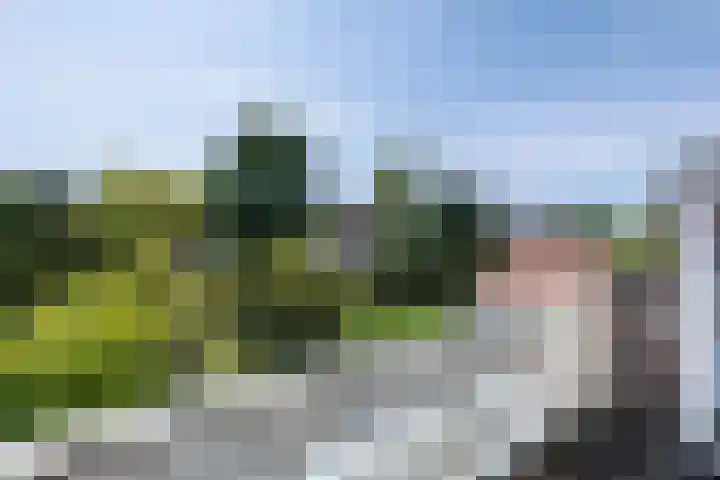 Teding van Berkhoutlaan 19 Aerdenhout thumbnail 26