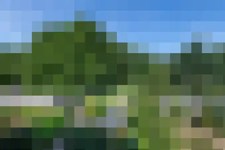 Teding van Berkhoutlaan 19 Aerdenhout thumbnail 32