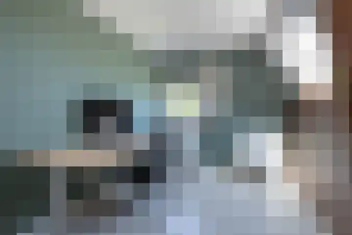 Teding van Berkhoutlaan 19 Aerdenhout thumbnail 37