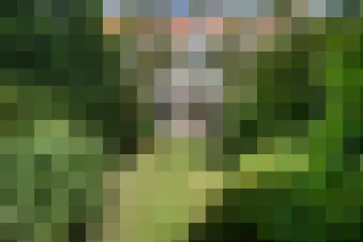 Teding van Berkhoutlaan 19 Aerdenhout thumbnail 4