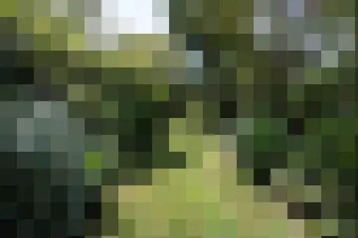 Teding van Berkhoutlaan 19 Aerdenhout thumbnail 48