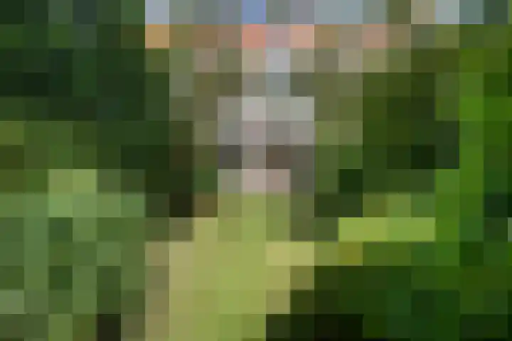Teding van Berkhoutlaan 19 Aerdenhout thumbnail 49