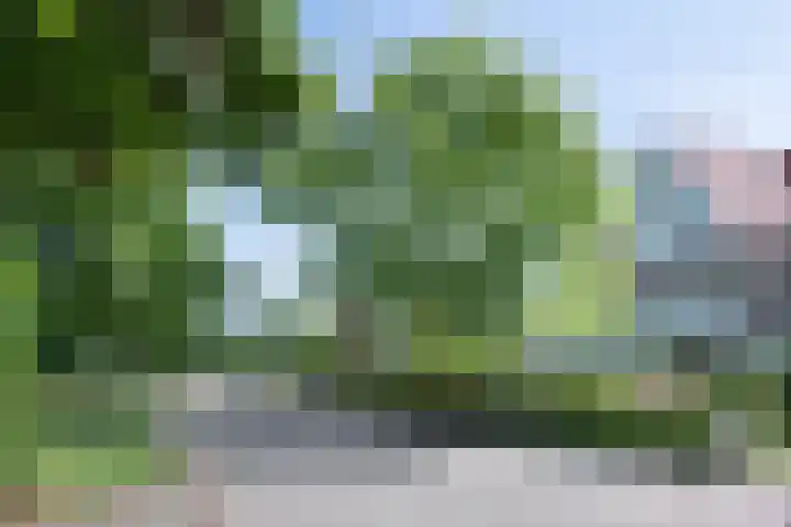 Teding van Berkhoutlaan 19 Aerdenhout thumbnail 5