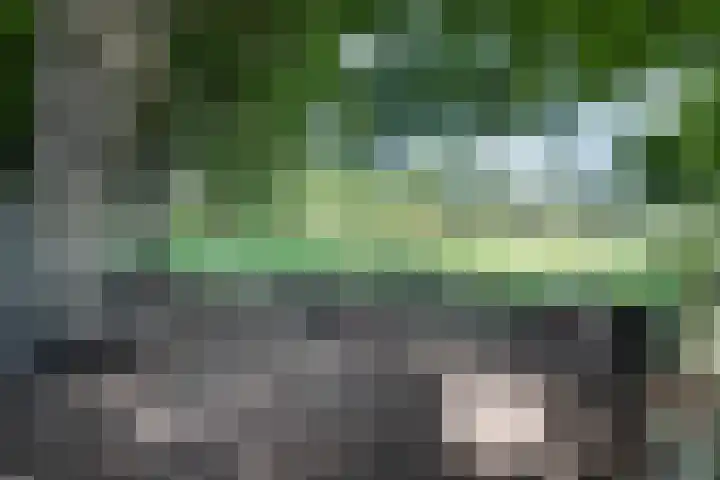Teding van Berkhoutlaan 19 Aerdenhout thumbnail 53