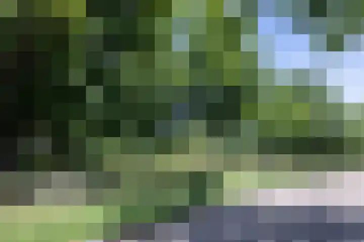 Teding van Berkhoutlaan 19 Aerdenhout thumbnail 6