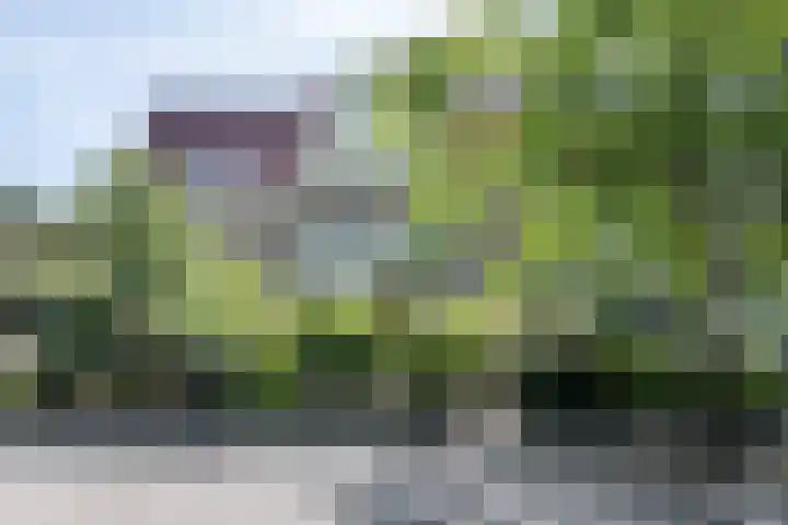 Teding van Berkhoutlaan 19 Aerdenhout thumbnail 60
