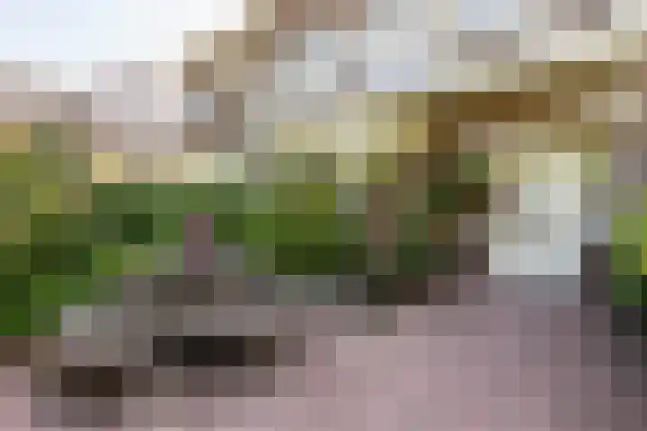 Teding van Berkhoutlaan 19 Aerdenhout thumbnail 8