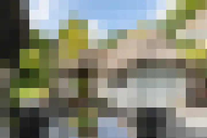 Teding van Berkhoutlaan 45 Aerdenhout thumbnail 29