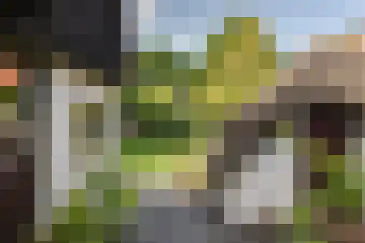 Teding van Berkhoutlaan 45 Aerdenhout thumbnail 35