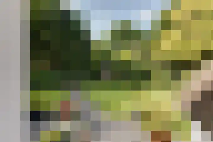 Teding van Berkhoutlaan 45 Aerdenhout thumbnail 36