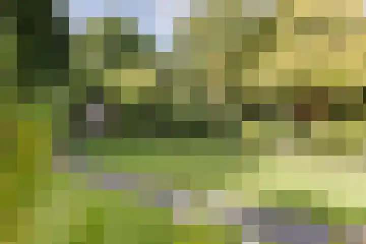 Teding van Berkhoutlaan 45 Aerdenhout thumbnail 37