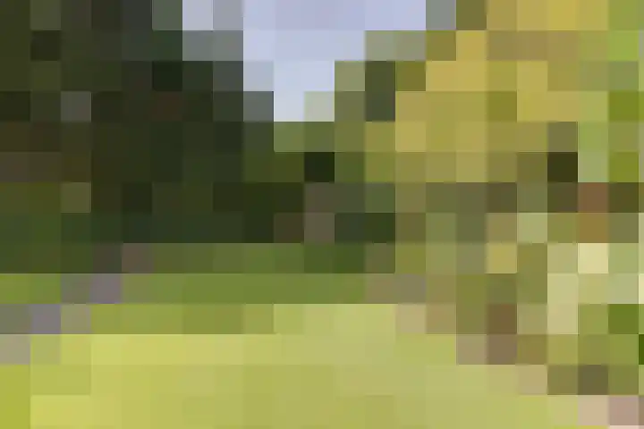 Teding van Berkhoutlaan 45 Aerdenhout thumbnail 38