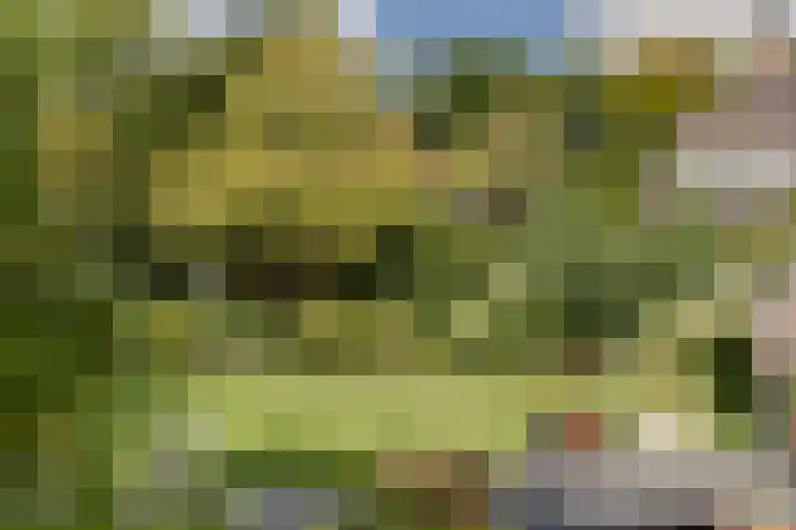 Teding van Berkhoutlaan 45 Aerdenhout thumbnail 39