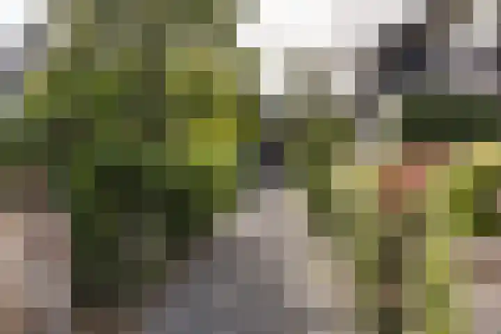 Teding van Berkhoutlaan 45 Aerdenhout thumbnail 4