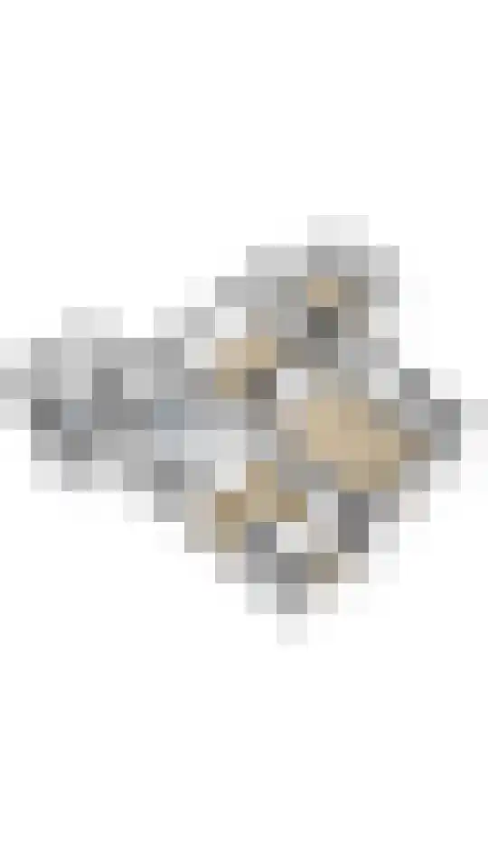 Teding van Berkhoutlaan 45 Aerdenhout thumbnail 48